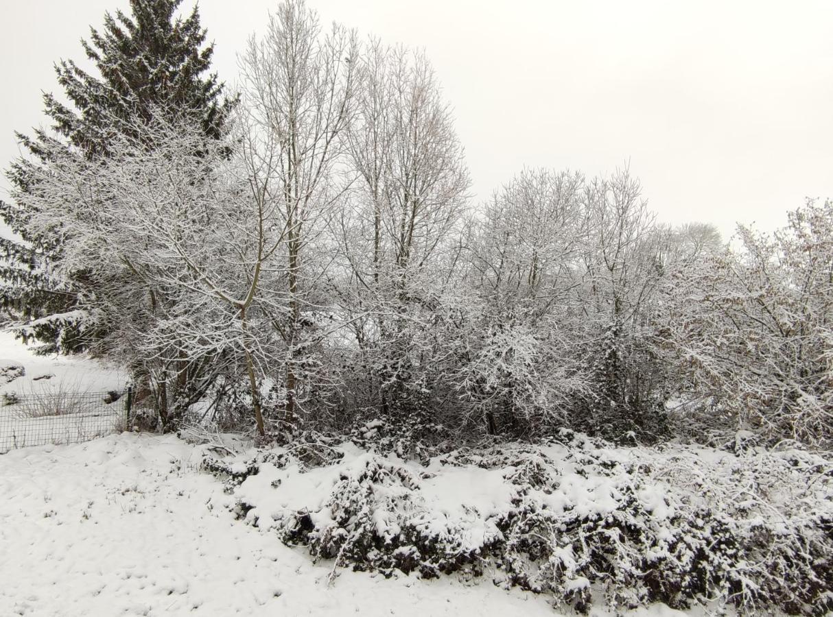 Gite Les Eylauds Pionsat Exterior photo